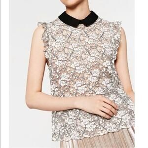 Zara Lace Sleeveless Top Sheer Peter Pan Collar Victorian Romantic Modest